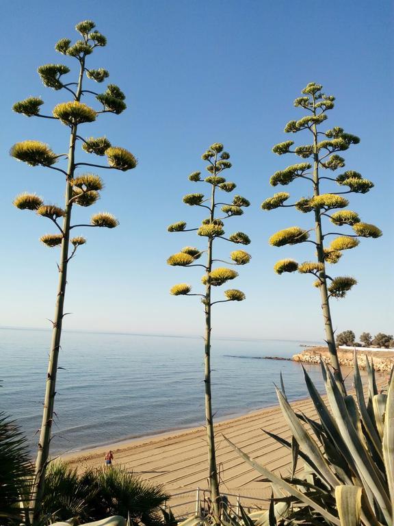 Villa Del Mar Авола Екстериор снимка